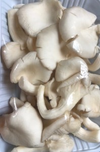 Oyster Mushroom (1 Kg)