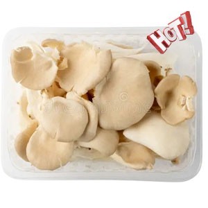 Oyster Mushroom 200g
