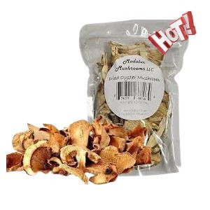 Dry oyster mushroom 100g