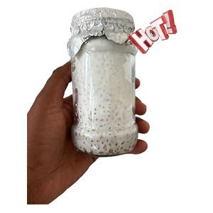 Mushroom Spawn